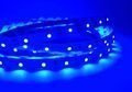 Taśma LED SMD 3528 300 LED IP20 niebieski