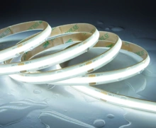 Taśma LED COB 6500K 480 LED 10W 900lm CRI>90 IP65 wodoodporna 24V zoomLED rolka 5m